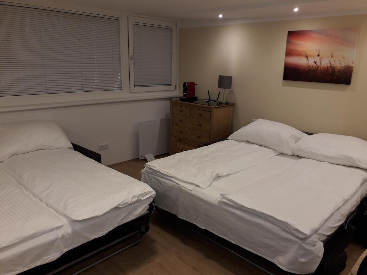 维也纳Cosy Flat In The Quiet Area With Own Garden, Free Parking And Direct Public Transport Link To The Centre公寓 外观 照片
